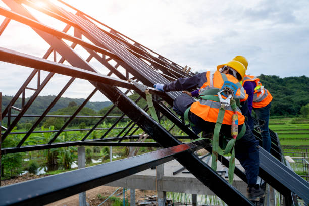 Best Shingle Roofing Installation  in Vassar, MI