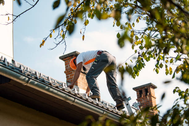 Best Heating Cable for Roof Installation  in Vassar, MI