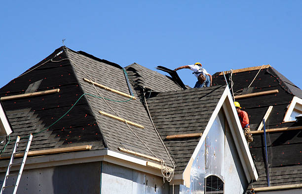 Best Slate Roofing Contractor  in Vassar, MI
