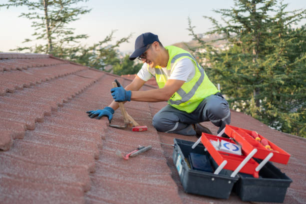 Best Roof Installation Near Me  in Vassar, MI