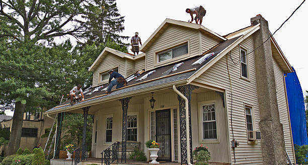 Best Roof Waterproofing Services  in Vassar, MI