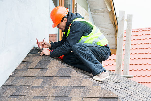 Best Commercial Roofing Services  in Vassar, MI
