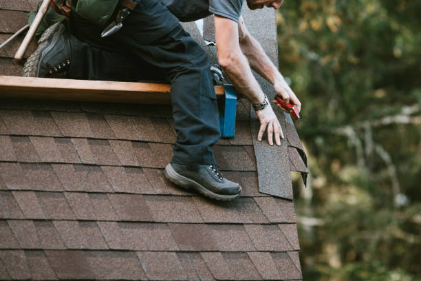 Best Residential Roofing Contractor  in Vassar, MI